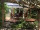 Terrasse 2020 2